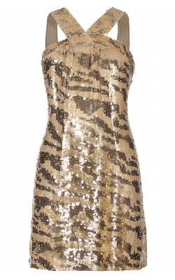 Rachel Zoe Dresses Brenda Sequinned Dress Girl Meets Dress