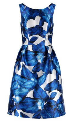 Chi_Chi_London_Blue_White_Flower_Dress_large